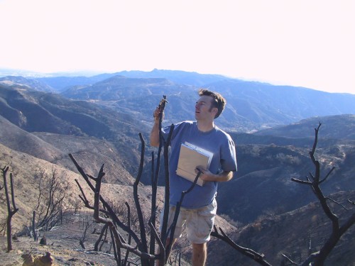 Phill Dennison mendatangi bekas lokasi kebakaran lahan di Pegunungan Rocky, AS.