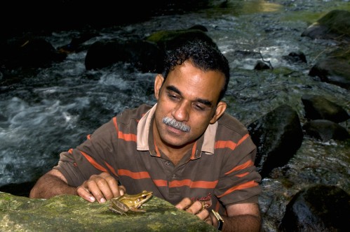 Dr. Sathyabhama Das Biju memperlihatkan katak menari.