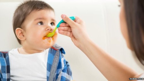 Kebiasaan memberikan sayuran baru kepada anak sebelum usia 2 tahun bagi anak rewel agar dapat makan lebih banyak lagi.