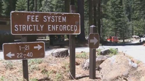  Taman Nasional Tahoe tempat Murphy diketemukan kembali setelah hampir dua tahun hilang.