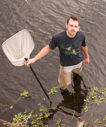 Jason Rohr saat tengah bekerja melakukan penelitian terhadap amfibi dari ancaman jamur patogen.