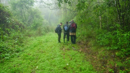 Tim ekspedisi nuri amazona sedang mempersiapkan diri untuk mengamati perlilaku nuri amazone dalam hutan amazona.