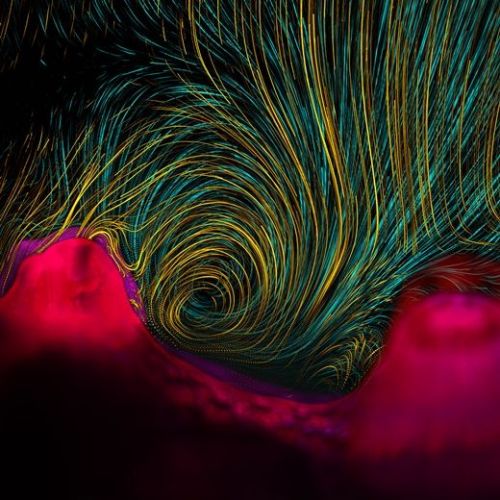 Pengamatan Ilmuwan Massachusetts menemukan bahwa ada aktivitas pergerakan di permukaan karang. Foto : Invisible Coral Flows, the winning photography entry.