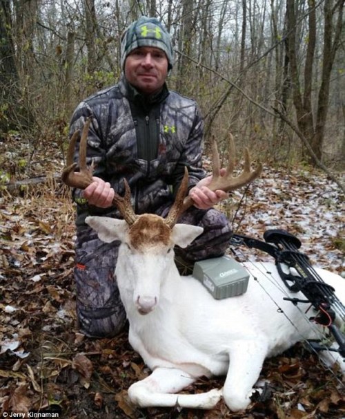 Jerry Kinnaman berburu rusa putih alias albino.