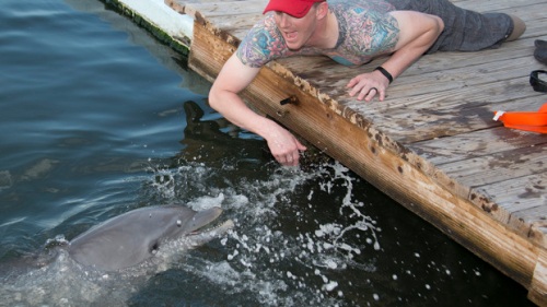 Brandon Dodson berusaha menggapai lumba-lumba di pusat riset lumba-lumba di Marathon, AS.