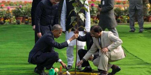 Inilah momen yang tertangkap kamera ketika Presiden AS Barack Obama bersama Presiden India Mohandas K Gandhi menanam pohon peepal atau pohon bodhi ketika Obama berada di New Delhi untuk memperingati hari kemerdekaan India.
