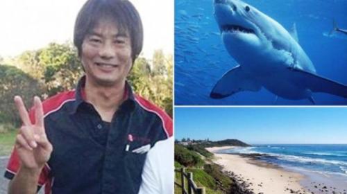 Tadashi Nakahara tewas diserang hiu di pantai Shelley, Balina, New South Wales, Senin (9/2/2015) 