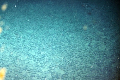Di kedalaman Samudra Atlantik, saat air jernih terlihat bola-bola logam mangan di dasar Laut Atlantik.