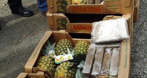 Polisi Ekuador menyita hampir dua ton kokain yang disembunyikan dalam pengapalan nanas menuju Spanyol dan ...