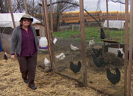 Seorang wanita datang dengan solusi kreatif untuk masalah keuangan , dia menjadi pengasuh ayam . Foto by : Moses Gold.