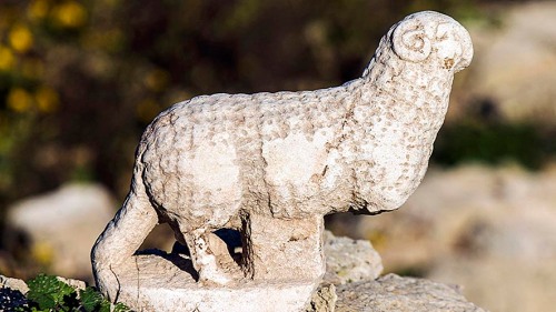 era - Bizantium marmer patung dari domba ditemukan selama penggalian yang dilakukan oleh Israel Antiquities Authority , dekat Kaisarea Gereja Kuno di Taman Nasional Caesarea . Para ahli percaya bahwa anak domba disajikan sebagai bagian dari dekorasi dalam 6 - 7 gereja abad yang ditemukan berdekatan dengan pelabuhan kuno . AFP PHOTO / JACK GUEZ