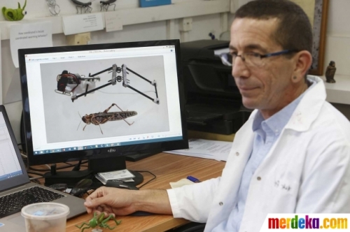 profesor israel belalang robot