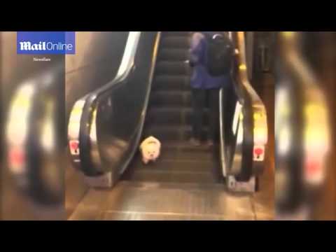 Saking bingung anak anjing turun tangga berjalan yang bergerak ke atas. Dalam video terlihat anak anjing berjalan di tempat di salah satu anak tangga.