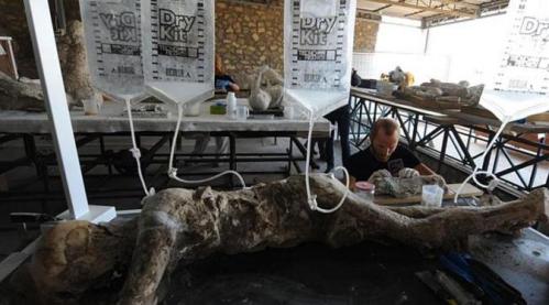 Restorasi jasad korban Pompeii yang menjadi mumi (AFP)