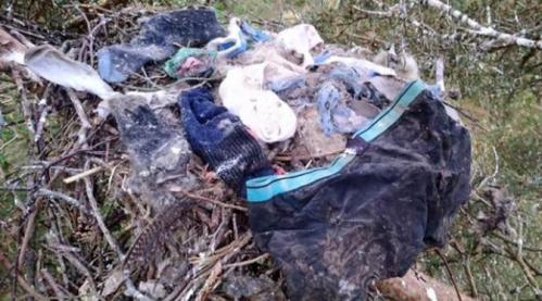 Dave Clement, seorang polisi hutan, menemukan sepasang kaus kaki dan celana dalam berwarna biru navy melapisi sebuah sarang burung dimana ada dua bayi ...