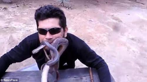 Sebuah dokumentasi menunjukkan aksi Arteval Duarte, seorang pria asal Brasil, yang memasukkan empat ular ke dalam mulutnya. 