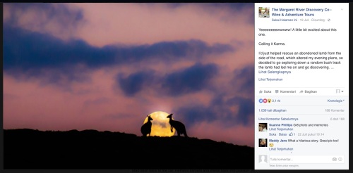 Dua kangguru sedang bercinta di atas bukit dengan latar belakang bulan bulat penuh.